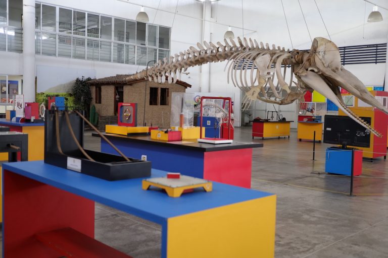 Seara da Ciência: uma visita para aprender brincando