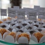 Lançamento Audi Q 3 (2)