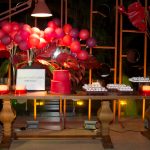 Aniversário De Adriano Nogueira (1)