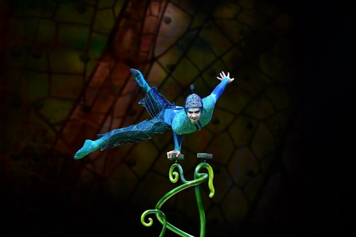 Cirque Du Soleil   OVO