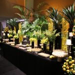 Niver Marcos Borges (4)