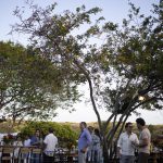 Aniversário Mariana Mota (2)