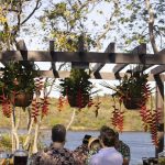 Aniversário Mariana Mota (5)