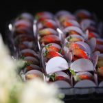 Casamento Mariana Dafonte E Felipe Bezerra (10)