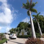 Felipe Bezerra E Mariana Dafonte Casamento (3)