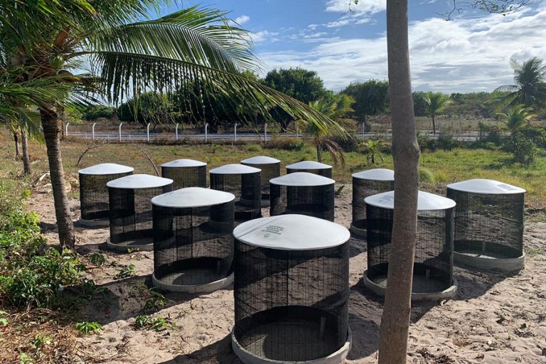 Parque De Compostagem Colosso