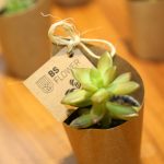 Lançamento Bs Flower (3)