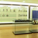 Lançamento Do Livro Plataforma Para O Desenvolvimento Industrial Cearense (2)