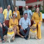 Costa Neto, Ciro Santos, Dora Andrade, Felipe Vian, Lorena Nunes, Jorio Da Escossia, Ticiana De Paula