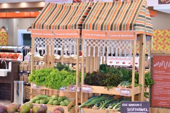 MudaMeuMundo (4) (1)