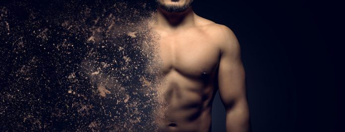 Building The Perfect Male Body