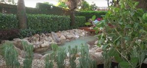 Lago Na Casa De Ana Hickmann