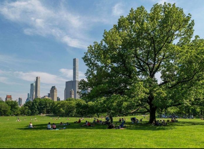 WhatsApp Image 2021 06 08 At 15.03.33