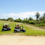 A&M Invitation   60 Anos De Jaap Thoen (7)