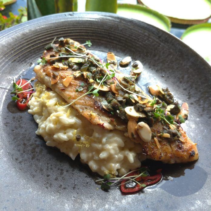 Arroz De Polvo