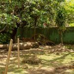 Reunião Operacional Da 22ª Edição Da CASACOR Ceará (11)