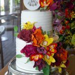 Aniversário De Michelle Aragão