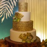 Os 15 Anos De Sophia Dall'Olio (3)