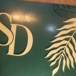 Os 15 Anos De Sophia Dall'Olio (5)