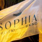 Os 15 Anos De Sophia Dall'Olio (6)