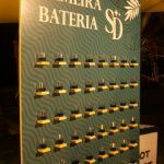 Os 15 Anos De Sophia Dall'Olio (7)