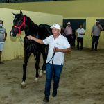 Quarter Horse Show (7)