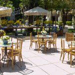 Aniversário De Gisela Vieira (10)