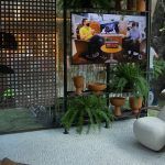 Espaço TV Otimista (3)