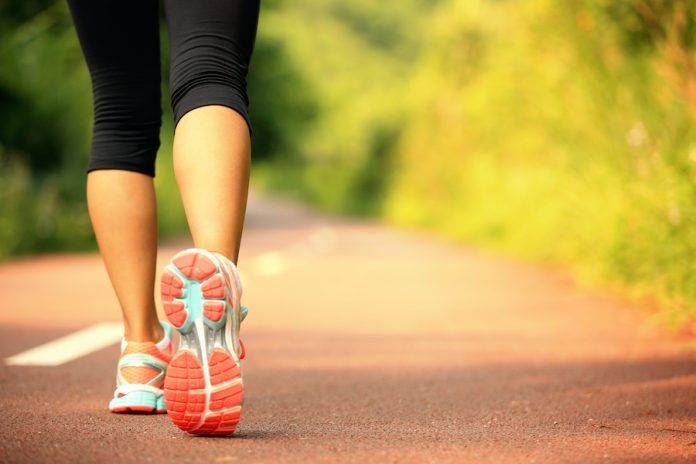 Young Fitness Woman Legs Walking On Forest Trail