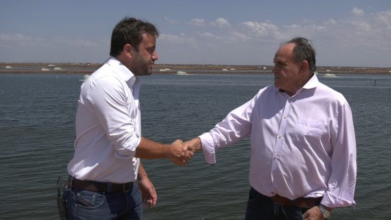 WhatsApp Image 2022 01 07 At 13.48.52