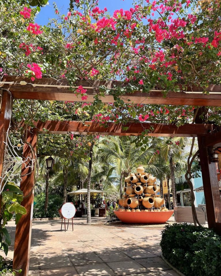 269821455_907267656645075_2394788798324321684_n