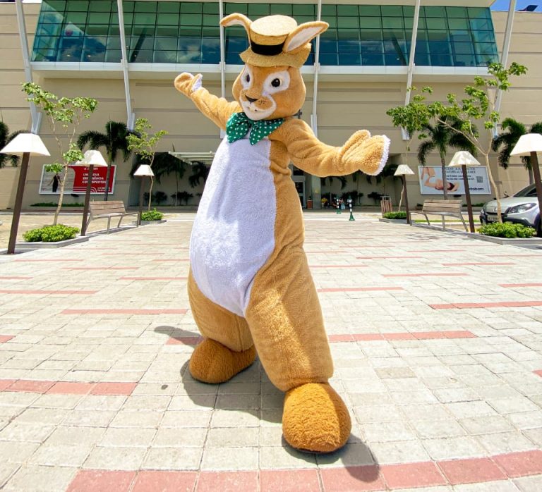 WhatsApp Image 2022 03 28 At 17.39.19