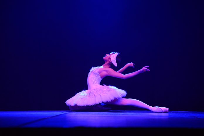 Gala Bolshoi Créditos Nilson Bastian 2