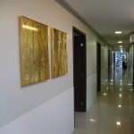 Inauguração Nova Estrutura Hospital Otoclínica (21)