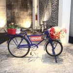 Le Collection Adroaldo Tapetes (3)