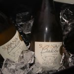 Meetings Cantu 2022 (6)