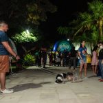 Fortaleza Pet Friendly 14