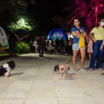 Fortaleza Pet Friendly 15