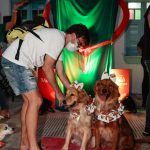 Fortaleza Pet Friendly