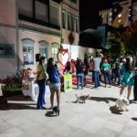 Fortaleza Pet Friendly 16