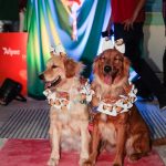 Fortaleza Pet Friendly 4