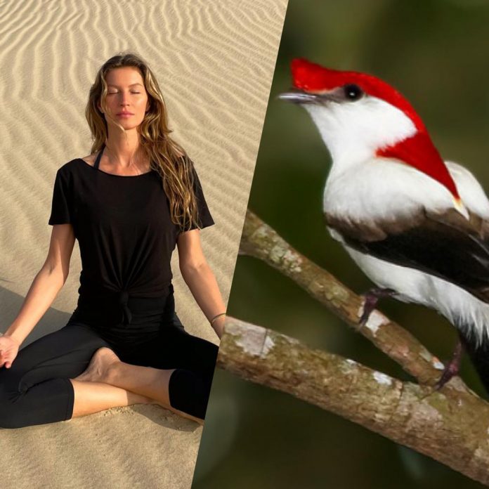 WhatsApp Image 2022 07 22 At 00.42.43