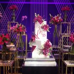 15 Anos Marina Esmeraldo (3)