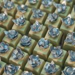 Níver Da Nina Brandão 2