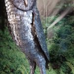 IMG 20221019 WA0302(1)