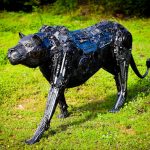 IMG 20230111 WA0279(1)