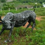 IMG 20230111 WA0282(1)