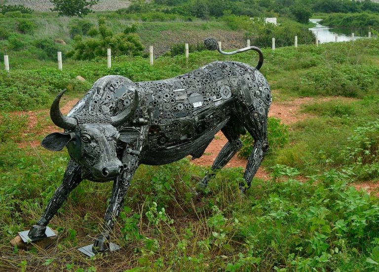 IMG 20230111 WA0296(1)