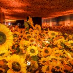 Expo Van Gogh 8754