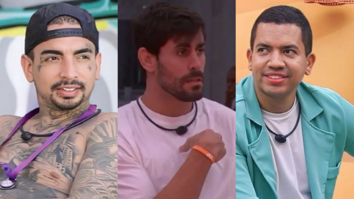 Novo Projeto(5)